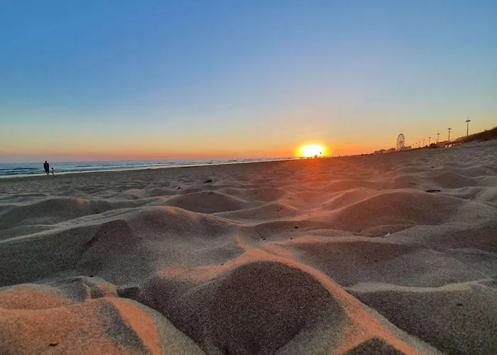 2 Pieces, 5 Couchages, Parking Prive, Proche Et Commerces, - Fr-1-224c-287 * 생 힐레르 드 리에