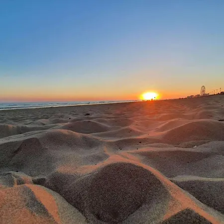 2 Pieces, 5 Couchages, Parking Prive, Proche Et Commerces, - Fr-1-224c-287 * Saint-Hilaire-de-Riez